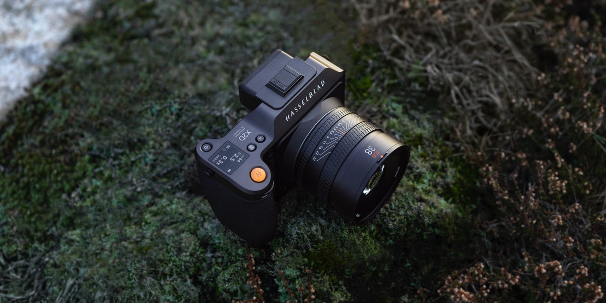 Hasselblad-Kamera mit 38-mm-Objektiv auf moosbewachsenem Felsen in natürlicher Landschaft