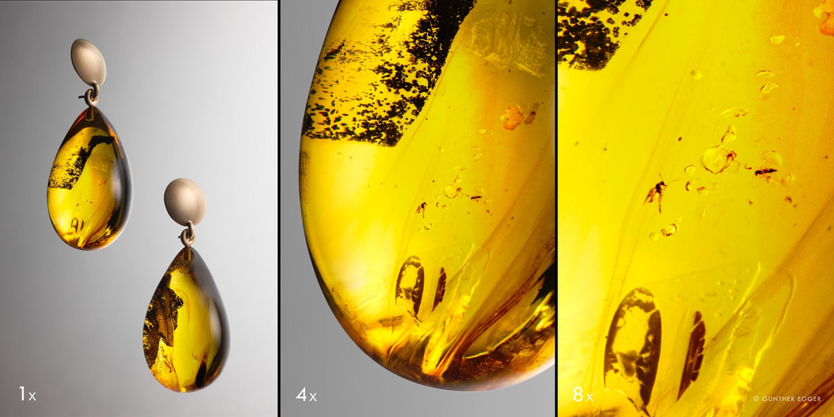 Produktfoto von Bernstein-Ohrringen, 1x bis 8x vergrößert, zeigt feine Detailauflösung