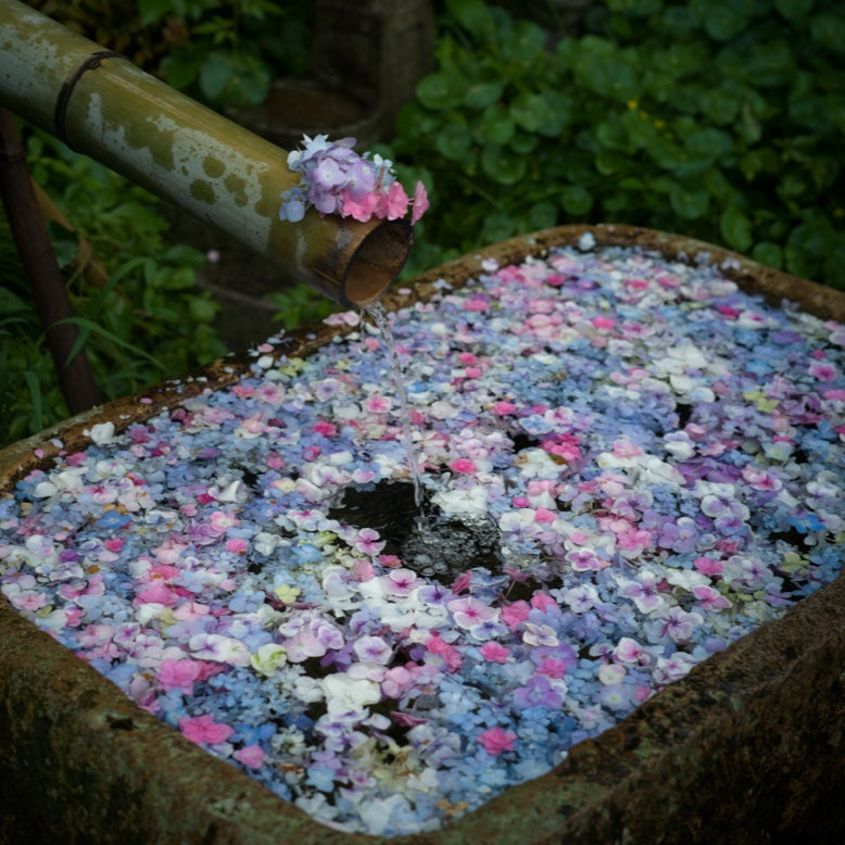 907X & CFV 100C+XCD 55V